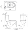 Bồn cầu 2 khối INAX C-117VA