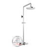 Sen cây TOTO TBW01301B nóng lạnh