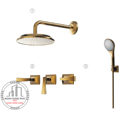 Bộ sen tắm  TOTO DBX120CAMR#PG âm tường